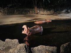 -清迈夜间动物园