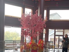 -苏州吴宫泛太平洋酒店