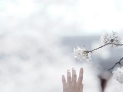 -上海辰山植物园