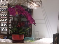 -蘭心·臻品(瑞虹太阳宫店)