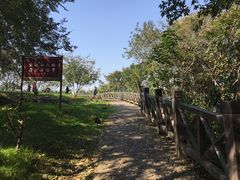 -南京市江宁方山