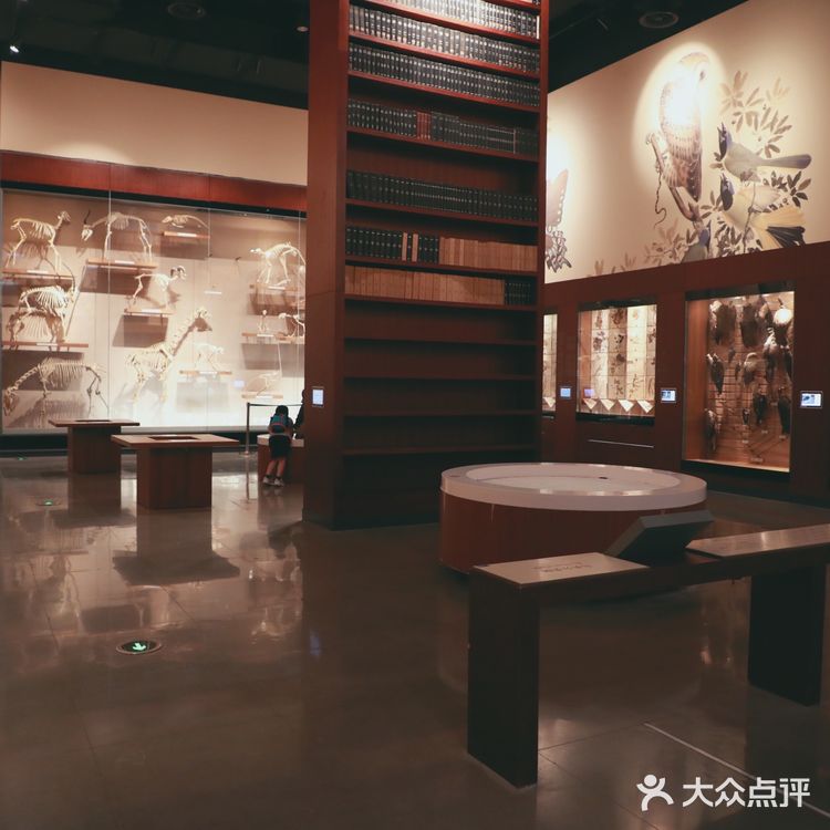 昆虫身上的奥秘