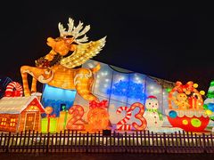 -北京石景山游乐园