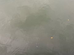 -柳侯公园