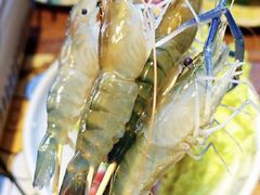-萨芭蒂高空花园餐酒吧