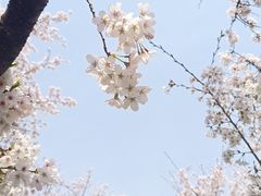 -苏州上方山国家森林公园