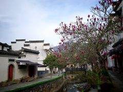 -绩溪龙川景区
