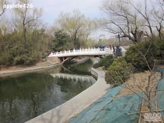 -紫竹院公园冰场