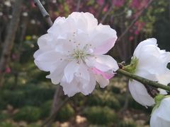 -上海市龙华烈士陵园