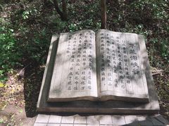 -茅兰沟国家森林公园