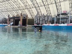 -中国死海旅游度假区