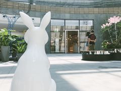 -奈雪的茶(skp店)