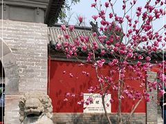 -红螺寺