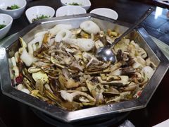 -山大王菌莊