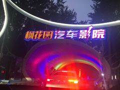 -枫花园汽车电影院(朝阳公园店)