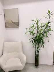 -苗方清颜·祛痘皮肤管理
