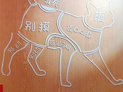 -MOCHA明星猫咖(田子坊店)