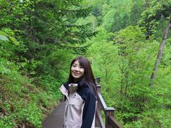 -凤凰山国家森林公园