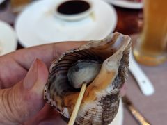 -济南喜来登酒店-盛宴自助西餐厅·综合自助