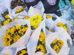 -循礼门鲜花花市(武汉循礼门店)