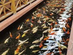 -侠成水上农庄(工业大道店)