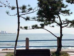 -青岛第三海水浴场