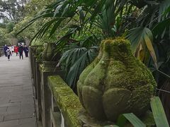 -南山植物园