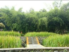 -龙头寺公园