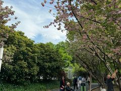 -苏州河梦清园环保主题公园