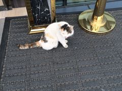 IMG_1833-北京园博大酒店