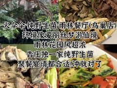 -西双版纳原始森林公园