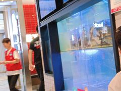 -鱼酷活鱼烤鱼(南京水游城店)