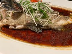 -彩丰楼·中餐厅(国家会展中心上海洲际店)