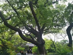 -鼓楼(西湖风景名胜区)