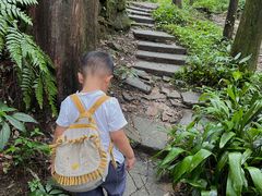 -凤栖山