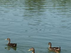 -泰安地下龙宫景区