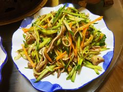 -广发草原蒙古部落