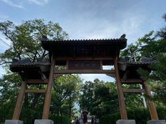 -阳台山自然风景区