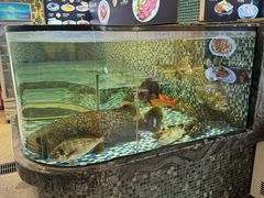 -寻味顺德·珍之宝酒楼(银钻店)