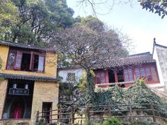 -苏州上方山国家森林公园