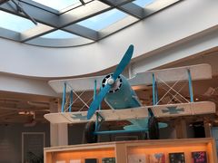 -猫的天空之城概念书店(北戴河蔚蓝海岸店)