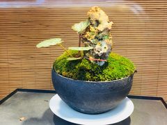 -厨掌柜陆老师(天津之眼店)