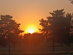 -汉长安城未央宫国家考古遗址公园