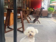 -龙潭水乡