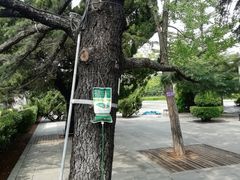 -大连人民广场