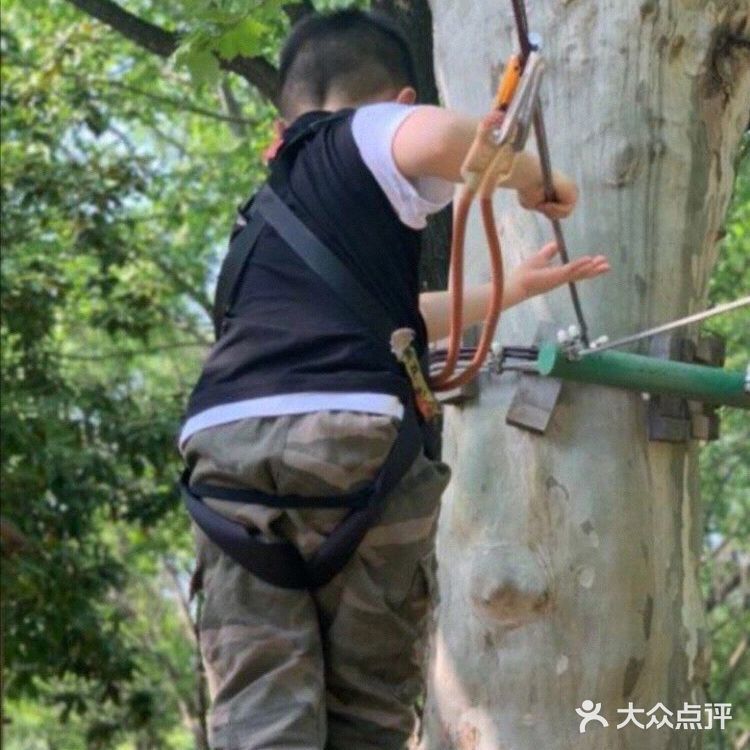 小朋友放电好去处—冒险森林·户外教育营地