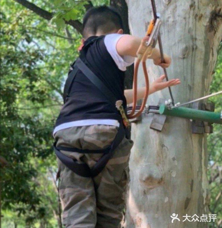 小朋友放电好去处—冒险森林·户外教育营地