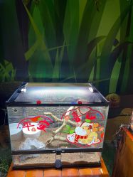 -酷嗒动物文化乐园(cutezoo西溪乐天城店)