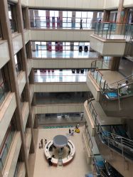 -重庆医科大学附属儿童医院(两江院区)
