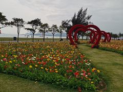 -野狸岛